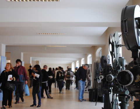 FESTIVAL INTERNACIONAL DE CINE DE MAR DEL PLATA